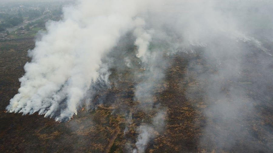 Indonesien lässt Wolken impfen und will so die Waldbrände auf Borneo und Sumatra stoppen