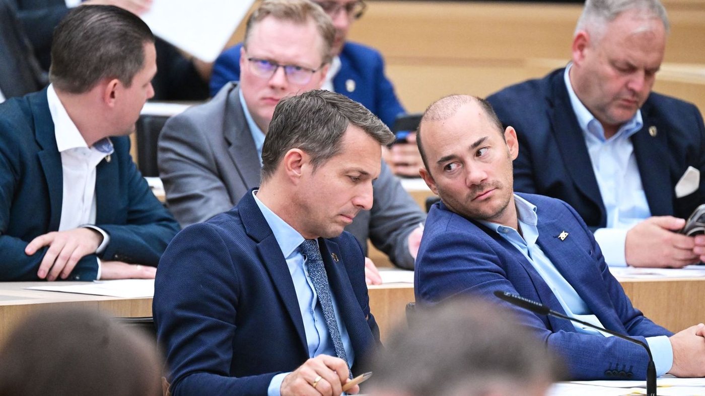 AfD scheitert bei Gremienwahlen im Landtag von Baden-Württemberg