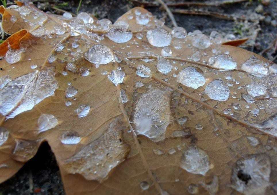 T-Shirt-Wetter am Tag, Frost in der Nacht: Warum der Herbst so starke Temperaturunterschiede bringt
