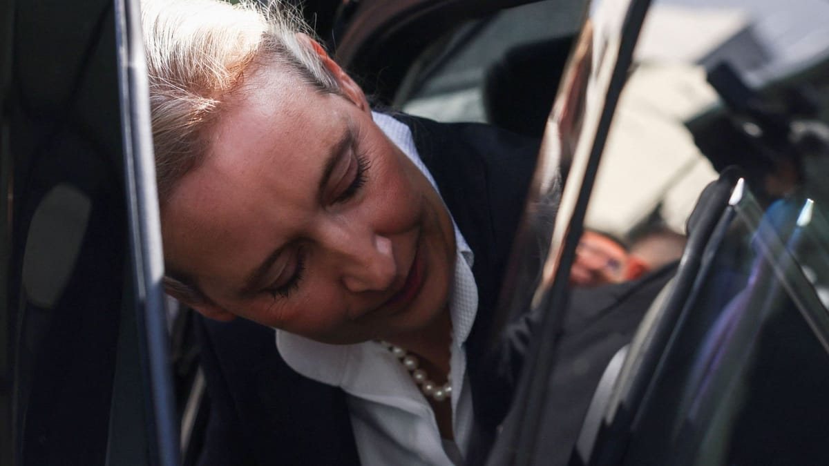 Jurist sieht Kriterium für AfD-Verbotsverfahren erfüllt