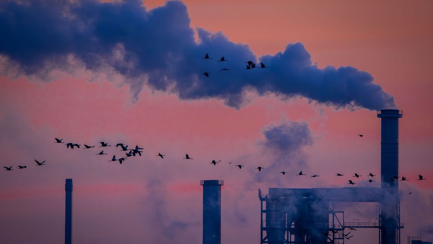 Auftragseingang der Industrie legt im Juli überraschend stark zu