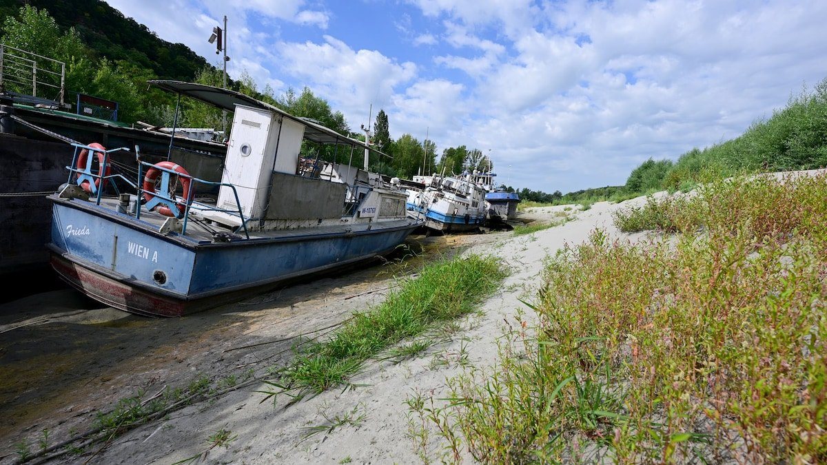 Donau-Dürre stoppt Kreuzfahrtschiffe und Atomkraftwerke